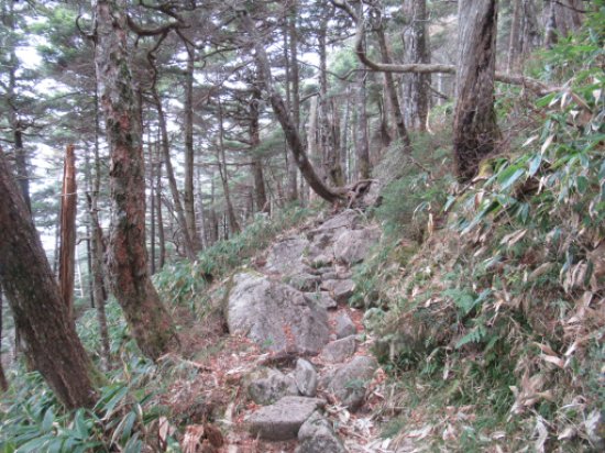 画像23